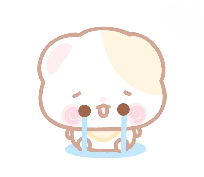 avatar gấu cute 26