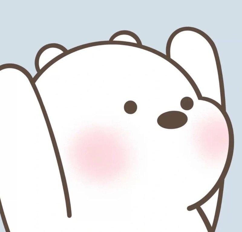 avatar gấu trắng cute 14