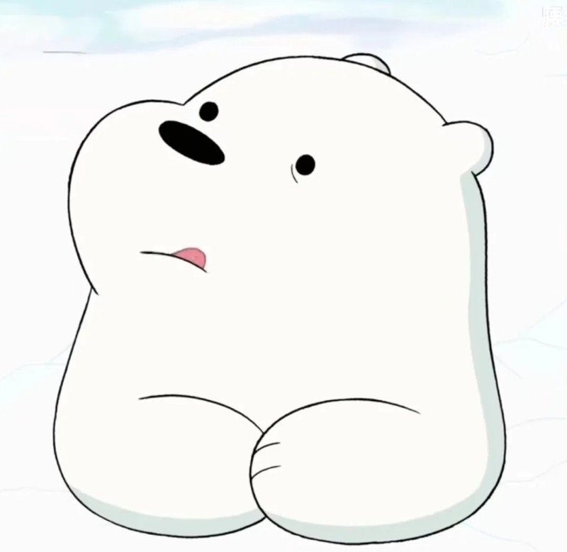 avatar gấu trắng cute 5