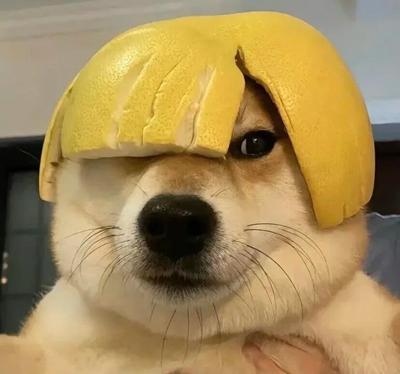 avatar hài ngầu 4