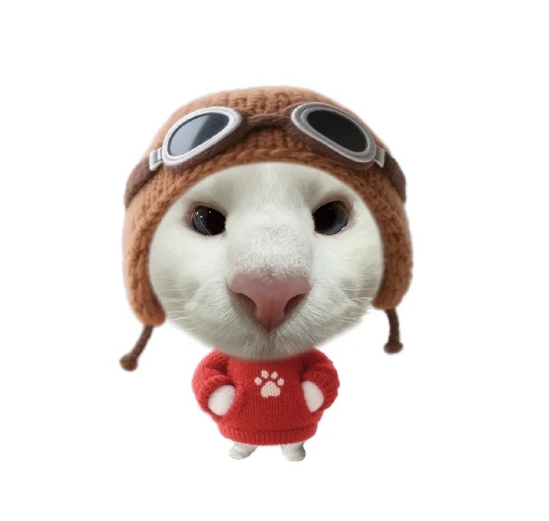 avatar hài ngầu 7