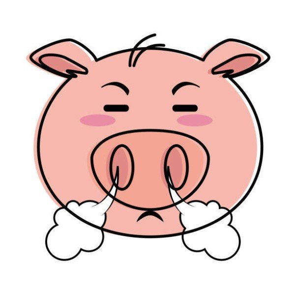 avatar heo cute 22