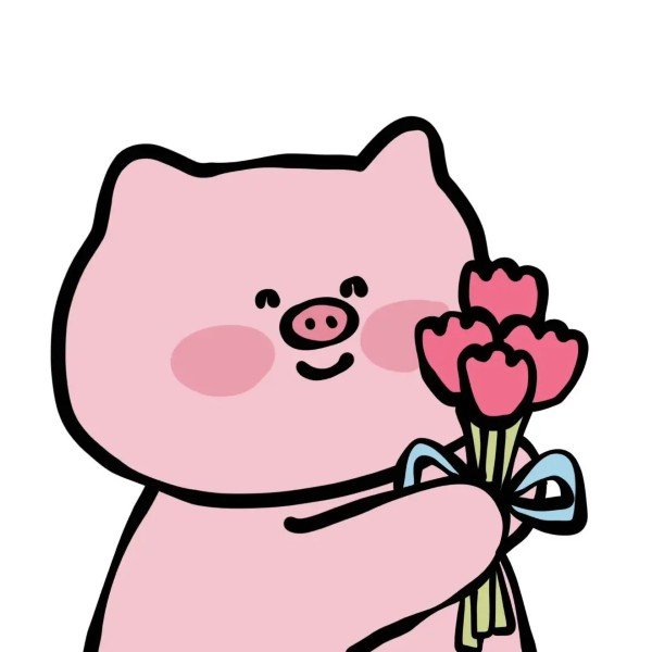 avatar heo cute 31