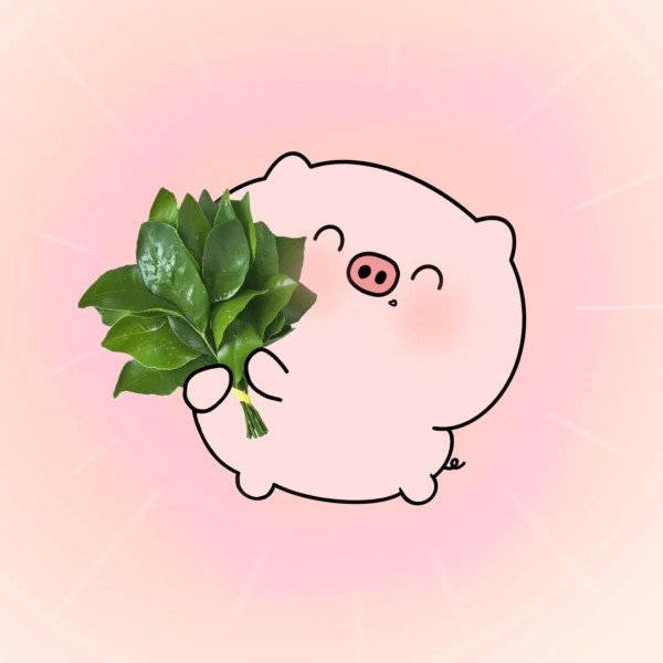 avatar heo cute 39