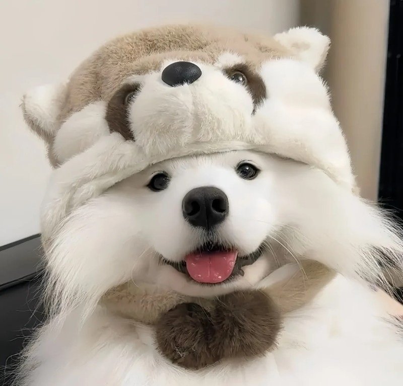 avatar meme cute 7