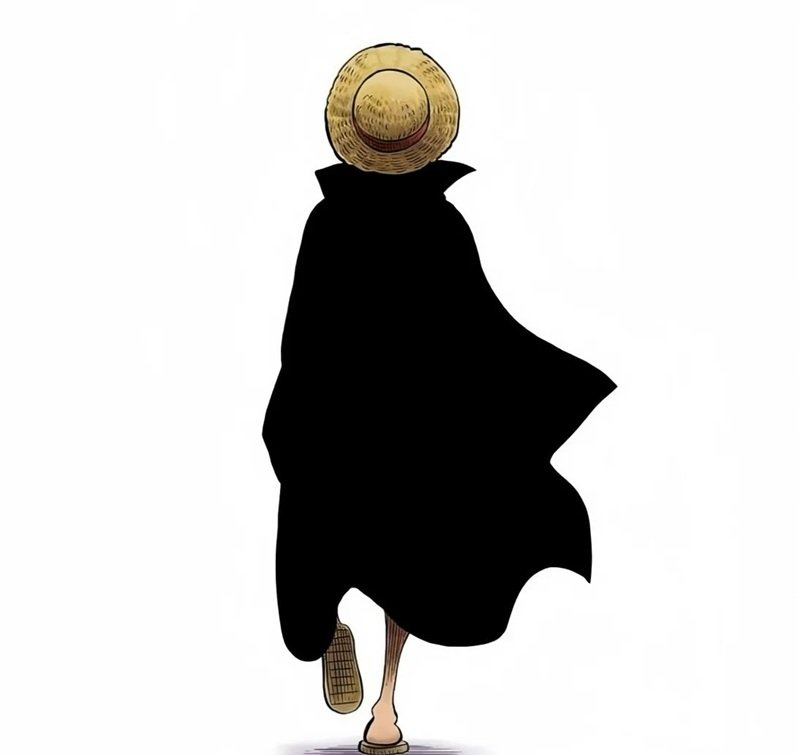 avatar one piece ngầu 33